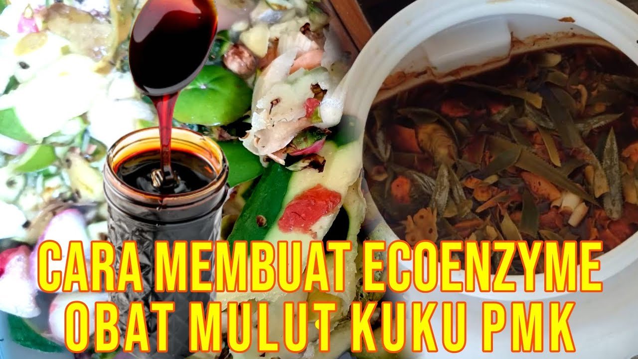 
                                 Cara-Membuat-Eco-Enzyme-Ramuan-Organik-Pembasmi-PMK-Sapi